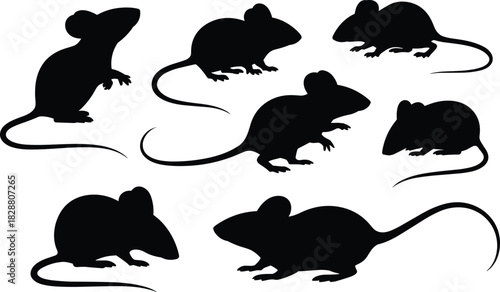 Collection of mouse silhouettes in various poses, showcasing small rodent shapes ideal for wildlife illustrations, design elements, and creative artwork projects