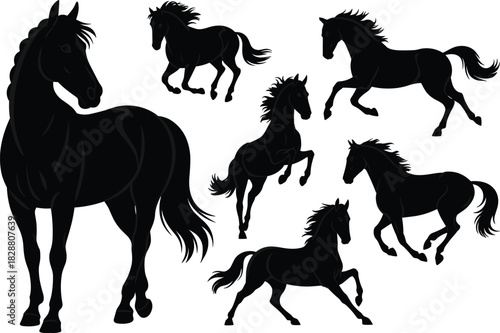 Elegant black horse silhouettes, running horses, rearing stallions, equine artwork, dynamic animal poses, vector illustration, wild mustang design, isolated graphics