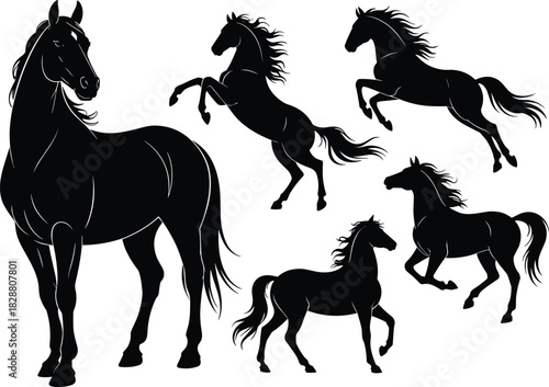 Elegant running and rearing horse silhouettes in dynamic motion, black vector animal illustrations showcasing power, energy, beauty, and graceful equine movement