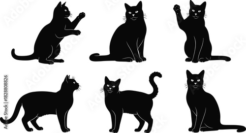 Various Poses Including Sitting, Standing, and Paw Up for Pet, Halloween, and Domestic Design
