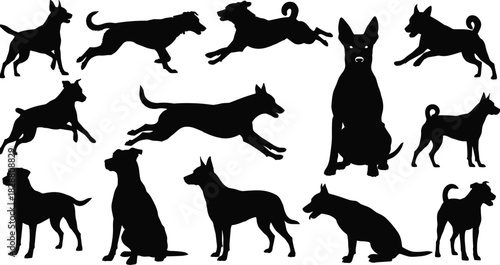 arious Breeds and Poses Including Running, Sitting, and Standing for Pet, Animal, and Veterinary Design