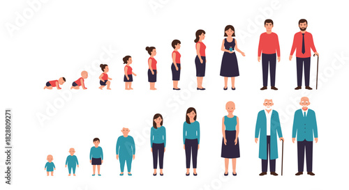 Illustration of the human life cycle from birth to old age, depicting developmental stages for men and women.