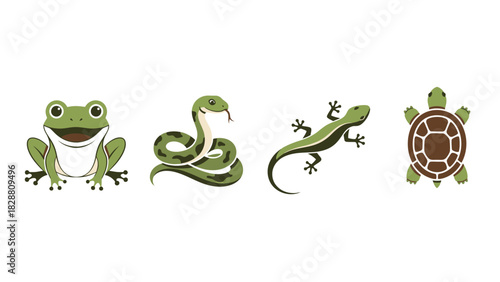 Cartoon Amphibians and Reptiles Icons Isolated on White Background