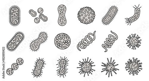 Hand-drawn illustrations of diverse microbes, showcasing various bacteria shapes like bacilli, cocci, spirilla, and different virus types.