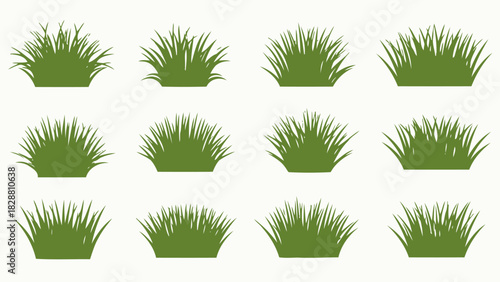 Varied Green Grass Clumps Collection Isolated Vector Illustration