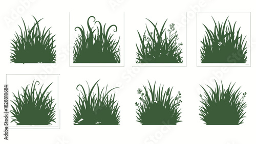 Collection of Ornamental Grass Silhouettes on White Background