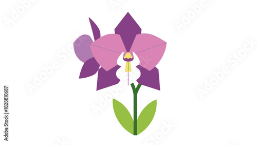 Geometric orchid flower blossom with vibrant colors on white background