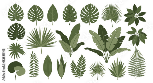 A vibrant and diverse collection of tropical leaves and plants, including Monstera, palm, and fern foliage, presented in a minimalist, illustrative style.
