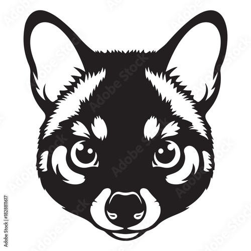 Silhouette of a Mountain Lion Walking, a Majestic Predator in its Element