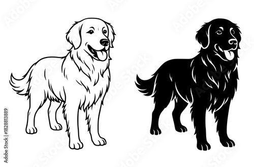 Vector illustration of a Labrador Retriever dog, black and white, outline and silhouette