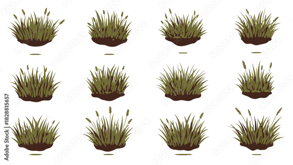 Obraz premium Diverse Clumps of stylized Grass Vector Graphic Elements