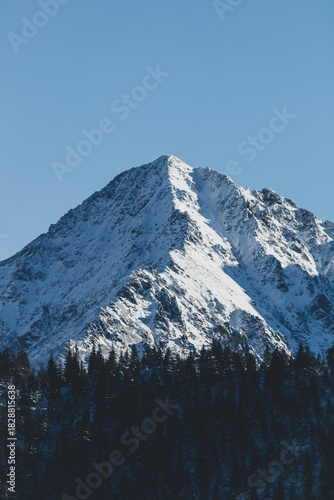 snow covered mountain