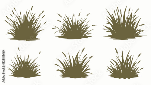 Elegant Grass Vector Illustration Set of Silhouetted Tufts
