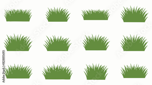 Green grass vector illustrations set for spring or summer designs