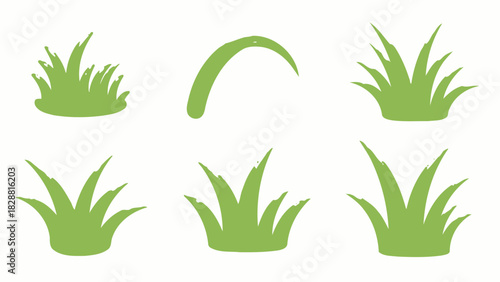 Green Grass Illustrations Fresh Collection Isolated Background