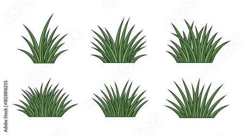 Vector Illustrations of Green Grass Tufts Isolated on White