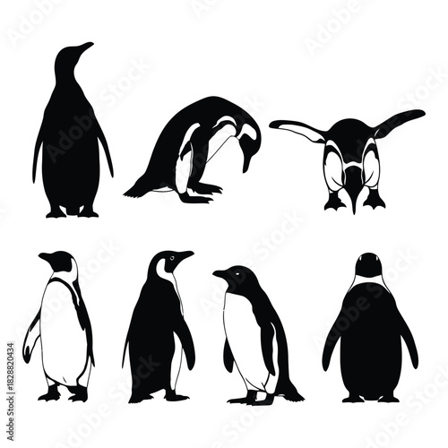 Collection of diverse penguin illustrations, showcasing different stances and forms, isolated on