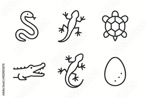 Line drawing of reptiles and egg: snake, lizards, turtle, crocodile, egg