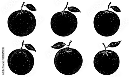 Vibrant oranges set to zest up your designs! Fresh citrus fruits add a burst of flavor to any project, originally a scalable vector graphic