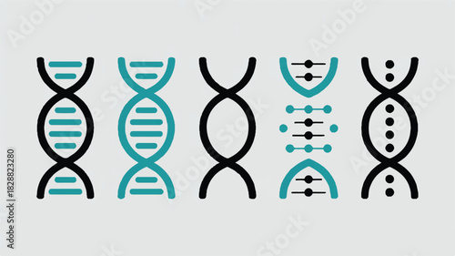 Diverse DNA Helix Variations A Minimalist Scientific Illustration Exploring Genetic Diversity and Research