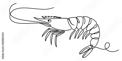 Continuous line drawing of a shrimp, a minimalist and elegant illustration capturing the essence of marine life, seafood, and aquaculture concept art design. Vector, illustration