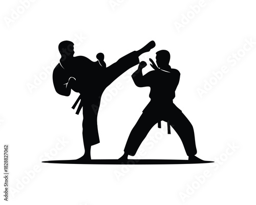 Martial arts combat silhouette with a powerful high kick against an opponent, dynamic action