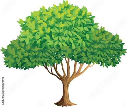 green tree isolated on white