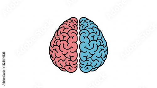 Illustration of human brain divided into two hemispheres, one colored red and the other blue