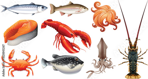 set of seafood illustration vector