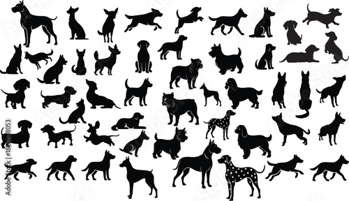 vector, isolated black silhouette of a dog, collection.