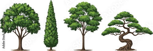 Tree illustration, foliage design, botanical art, nature drawing, landscape element, green canopy, stylized bonsai, forest shape, plant silhouette, garden icon