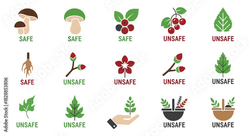 Set of safe and unsafe plants, mushrooms, and berries for consumption.