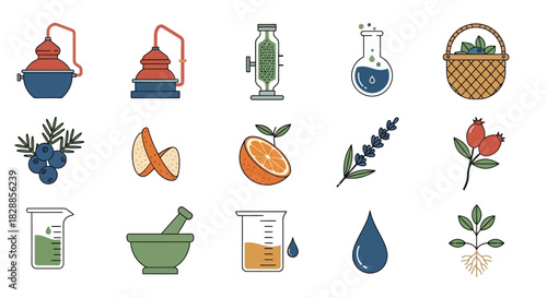 Essential oil production and botanical ingredients for aromatherapy.