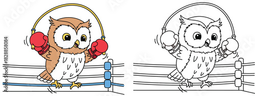 Cartoon owl boxer jumping rope in ring, coloring book page for kids, split colorful and outline vector illustration for children education