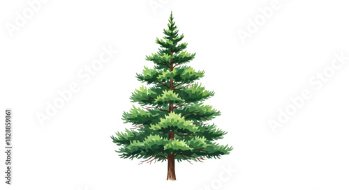 christmas tree isolated on white