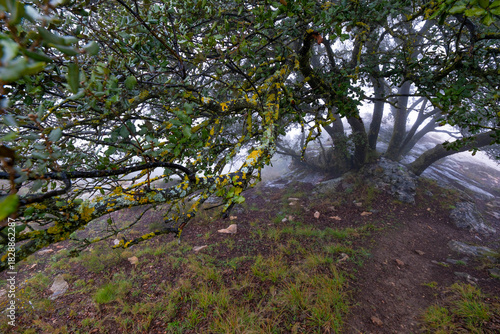 On the way to Bolumini cave from Mariola campsite in Alfafara, Alicante, Spain.
