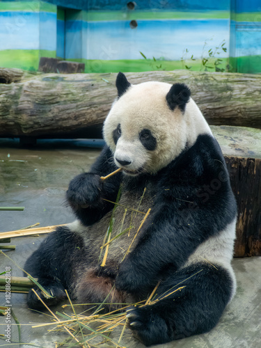 台北市立動物園