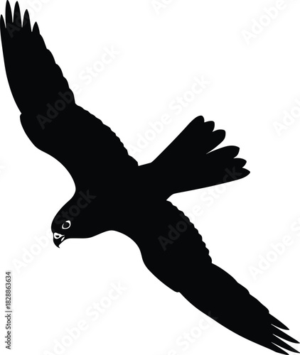 Silhouette of a bird of prey in flight with spread wings and curved beak for wildlife and design themes