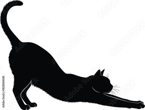 Silhouette of a stretching cat with arched back, extended legs, and raised tail for pet and design themes
