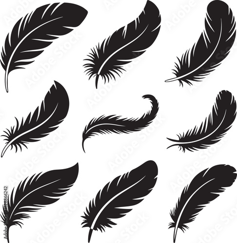 Collection of assorted black feather silhouettes on a white background design