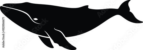 Stylized whale silhouette with curved tail and flowing body shape for marine life and design themes