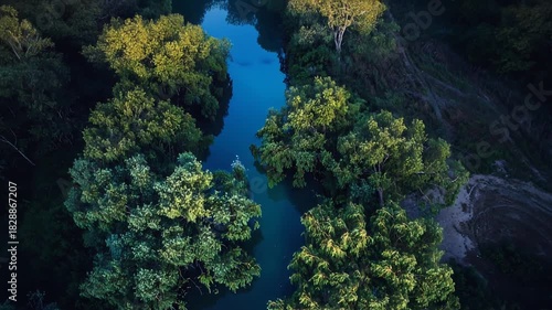 Aerial panorama of a vibrant river carving its way through a lush forest, where the interplay of light and shadow paints a scene of serenity and untamed beauty.