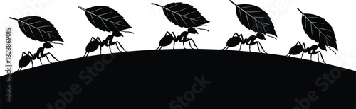 Black silhouette of five leafcutter ants carrying large, heavy green leaves across a curved path or hill, illustrating teamwork, cooperation, strength, and nature's insect world against a white back