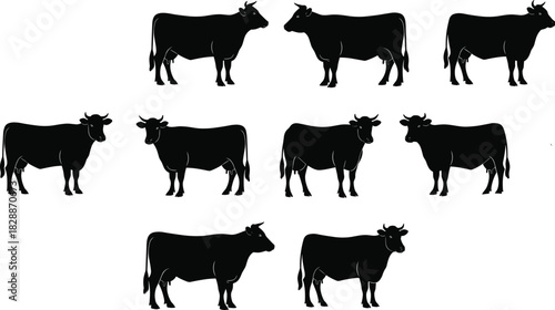 Cattle cows vector silhouette set, farm domestic animals collection, livestock breeding and agriculture symbol, dairy product industry black icons, beef and milk production graphic.