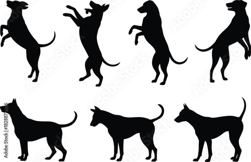 Silhouette collection of dogs in various standing poses, including jumping on hind legs, symbolizing pet training, obedience, play, animal behavior, isolated, black, white