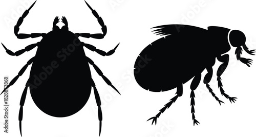 Vector Set of Parasitic Insect Silhouettes, Collection of Tick and Flea Icons, Black Isolated Graphic for Pest Control Veterinary Health and Animal Disease Concepts
