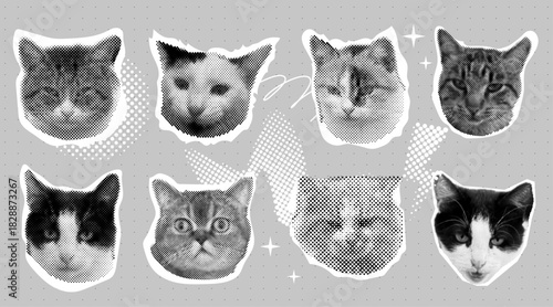 Halftone effect funny cat heads. Trendy retro y2k pet, funky emoticon animal, pop aesthetic. Meme head Punk collage made from elements. Cat, animal, pet from different angles, different poses, 