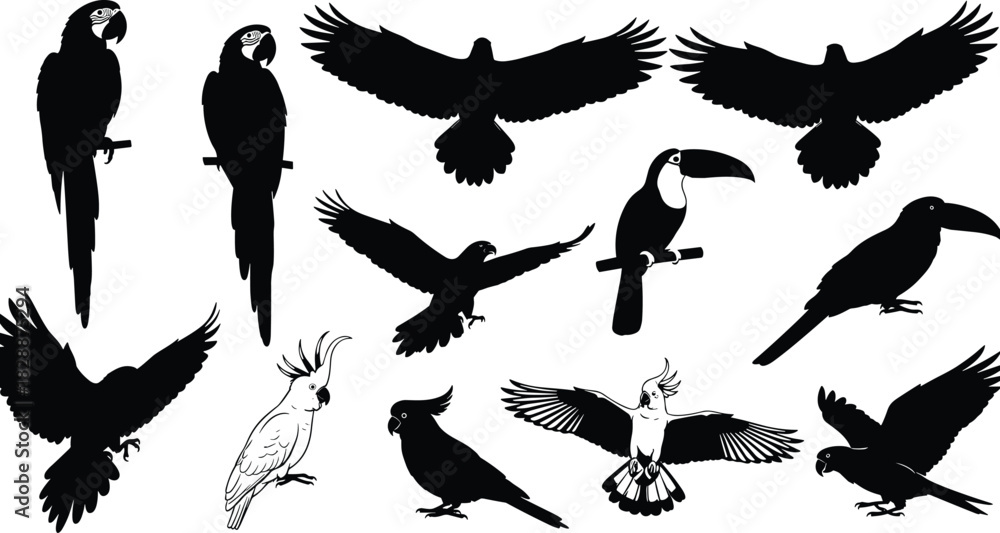 Fototapeta premium Set of black bird silhouettes, including flying eagle, parrot, and toucan, vector illustration collection isolated on white background for wildlife logo design.