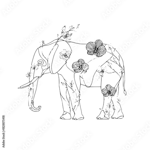 Black and white line art drawing of an elephant with orchid flower detail