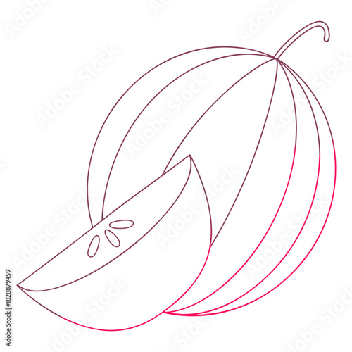 Watermelon and a slice in outline style